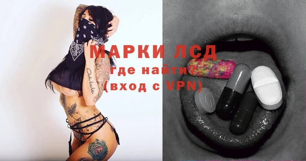 ПСИЛОЦИБИНОВЫЕ ГРИБЫ Баксан