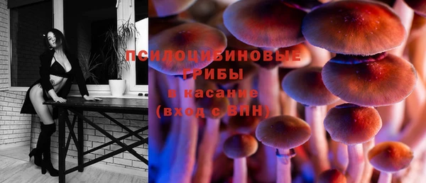 ПСИЛОЦИБИНОВЫЕ ГРИБЫ Баксан